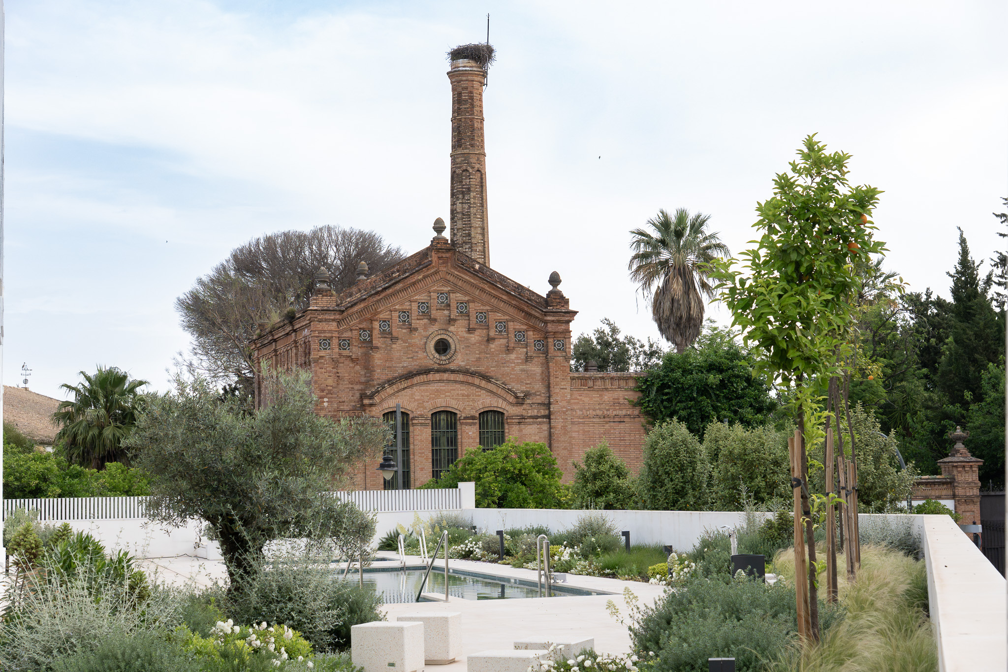 DE LA RIVA