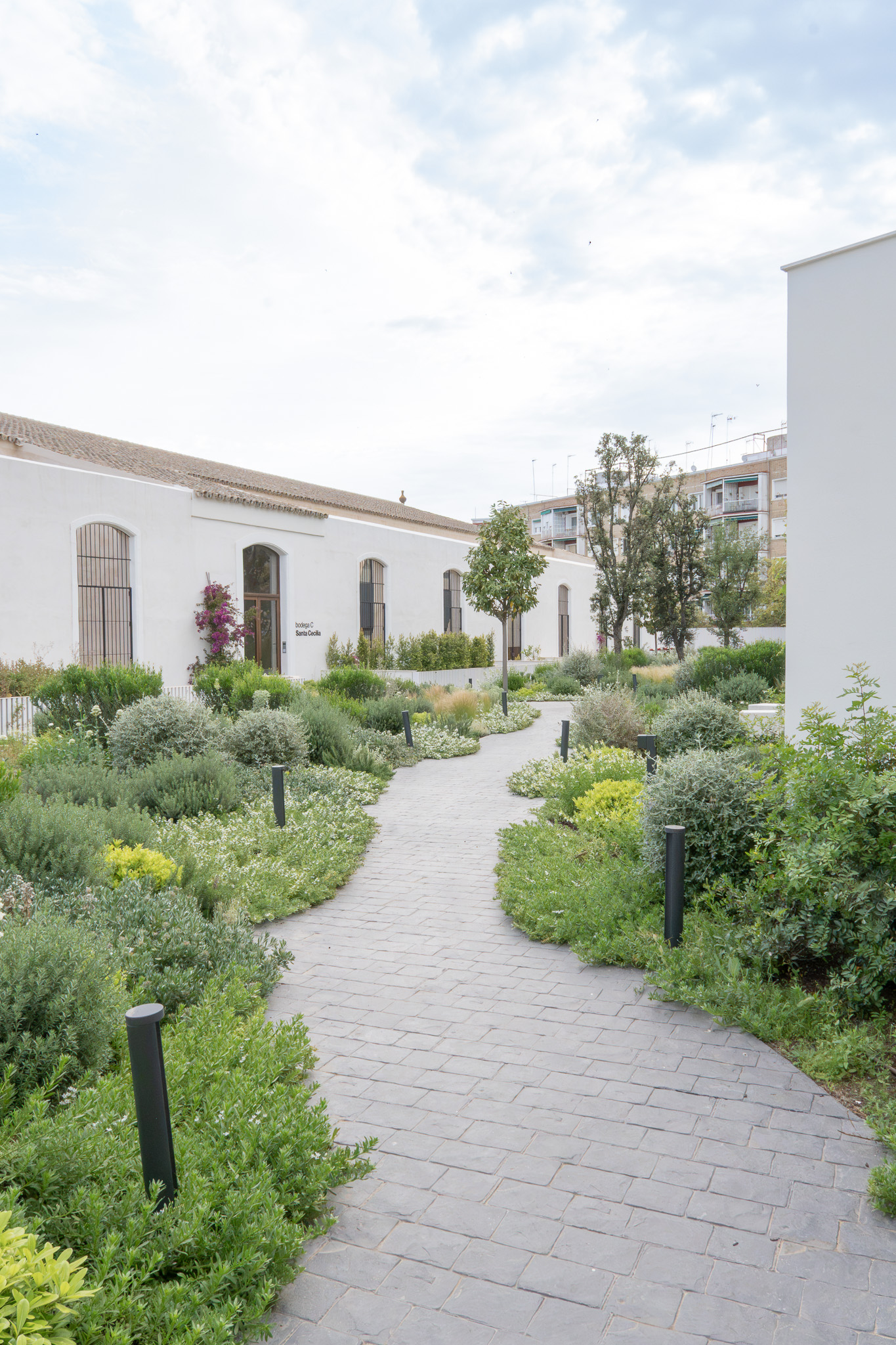 Un tesoro en el tejado: la primavera de las cubiertas verdes